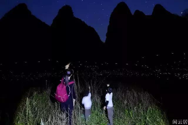 探索经常吃素食，真的可以减肥吗？尽在知识星球平台